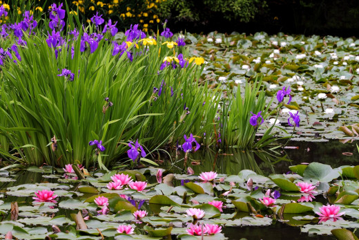 536257 (a): :2500x1667